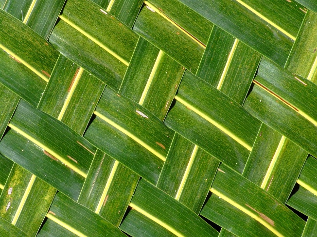 Traditional woven coconut leaf pattern