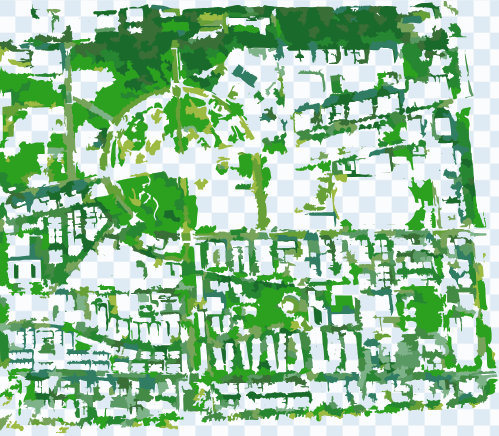 Green pixels extracted from satellite imagery showing vegetation coverage